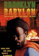 Brooklyn Babylon poster image