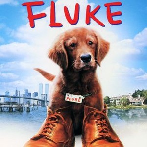Fluke (1995) photo 9