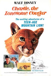 Watch trailer for Charlie, the Lonesome Cougar