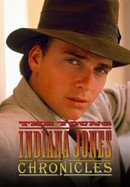 The Young Indiana Jones Chronicles poster image