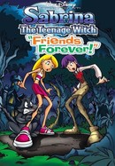 Sabrina the Teenage Witch: Friends Forever! poster image
