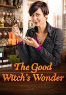 The Good Witch's Wonder poster image