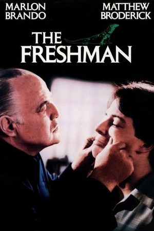 The Freshman poster