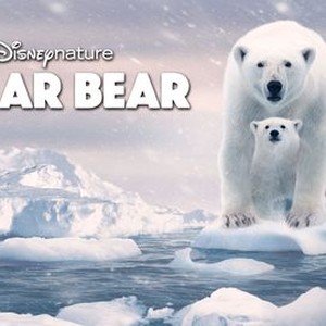 Polar Bear Movie Review