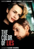 The Color of Lies poster image
