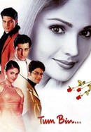 Tum Bin poster image
