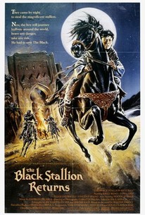 The Black Stallion Returns poster