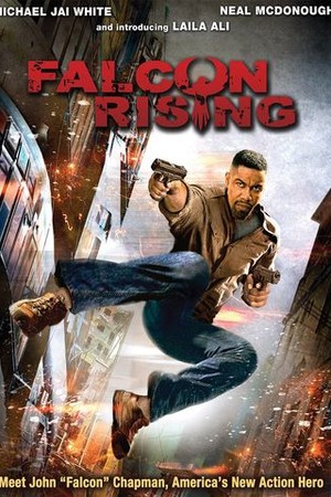 Falcon Rising poster