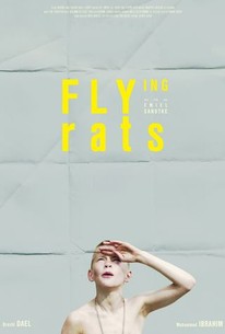 Flying Rats | Rotten Tomatoes