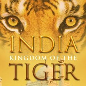 India: Kingdom of the Tiger photo 9