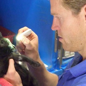 Dr. Chris: Pet Vet