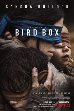 Bird Box poster