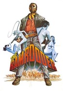 The Ramrodder poster image