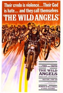 The Wild Angels | Rotten Tomatoes