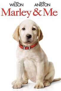 Marley And Me Dog Dies Script