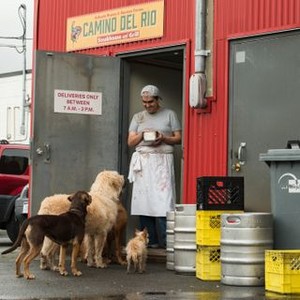 A dog's store way home premiere