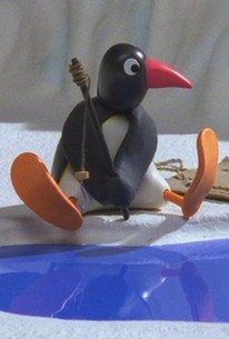 Pingu: Season 6, Episode 18 - Rotten Tomatoes