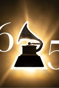 The GRAMMYs: 65th GRAMMY Awards - TV Reviews