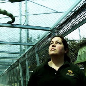 Bestiaire (2012) photo 5