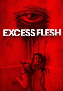 Excess Flesh poster image