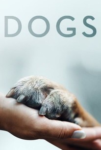 Netflix documentary on dog 2024 food