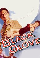 The Black Glove poster image
