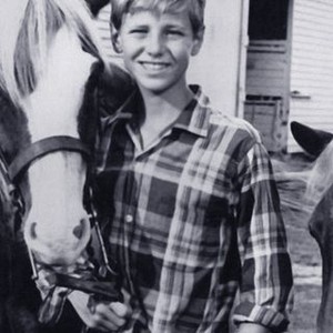 Misty (1961) photo 3