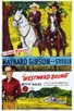 Poster for 