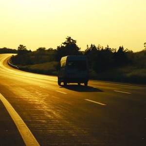 Stray photo 4