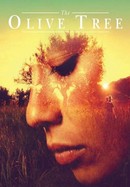 The Olive Tree poster image