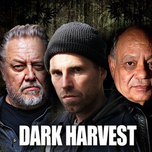 Dark Harvest photo 1