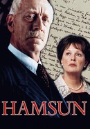 Hamsun poster image