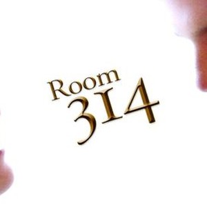 Room 314 photo 5