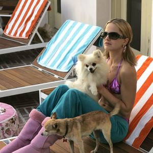 The Dog Problem (2006) photo 6