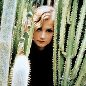 Cactus (1986) photo 8