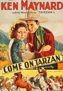 Come On Tarzan poster image