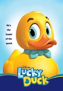 Lucky Duck poster image