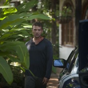 Reclaim photo 7