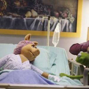 The Muppets, Eric Jacobson (L), Steve Whitmire (R), 'Generally Inhospitable', Season 1, Ep. #15, 03/01/2016, ©ABC