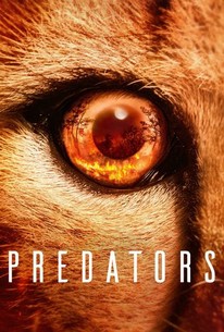 Predator - Rotten Tomatoes