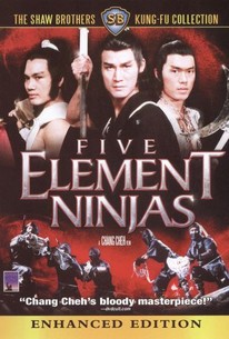 Watch trailer for Five Element Ninjas