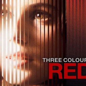 Three Colors: Red photo 1