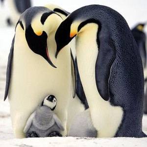 "Penguins: Spy in the Huddle"