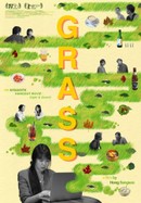 Grass poster image