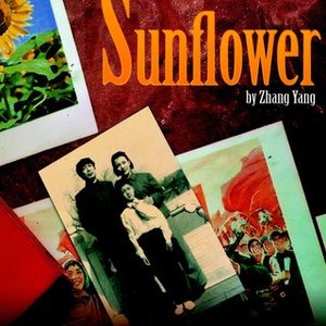 Sunflower photo 2