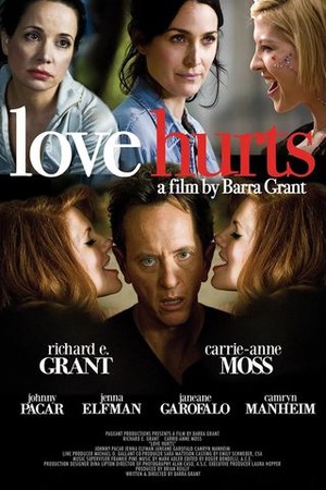 Love Hurts poster