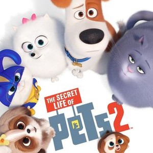 The Secret Life of Pets 2 - Rotten Tomatoes