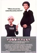 Rabbit Test poster image
