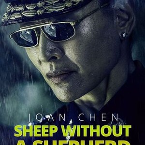 Sheep Without a Shepherd (2019) photo 14
