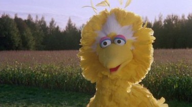 Sesame Street Presents: Follow That Bird | Rotten Tomatoes